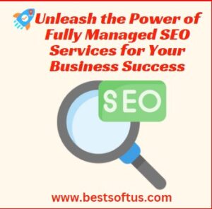 Fully Managed SEO Services